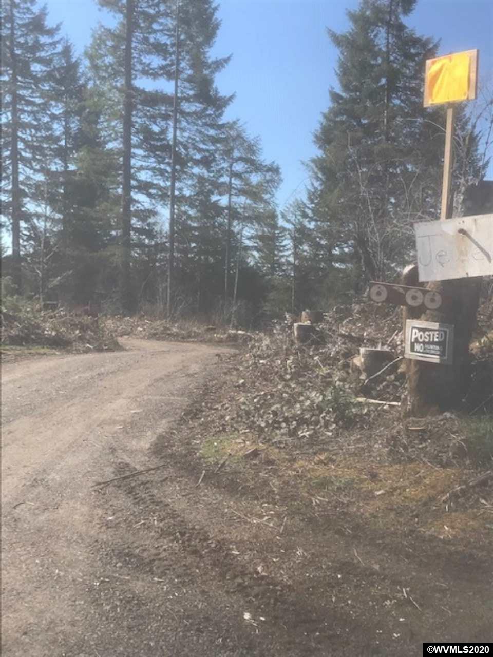 Northwest Smoke Ranch Road Scappoose, OR 97056 - Photo 10 of 10