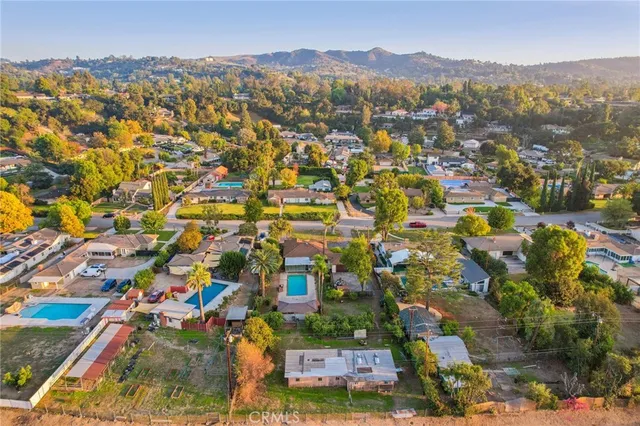 a view of a backyard with plants and palm trees