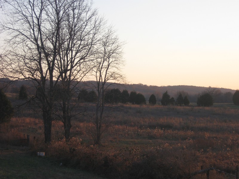 Tbd Drake Road Creal Springs, IL 62922 - Photo 3 of 7 Gallery Image 3