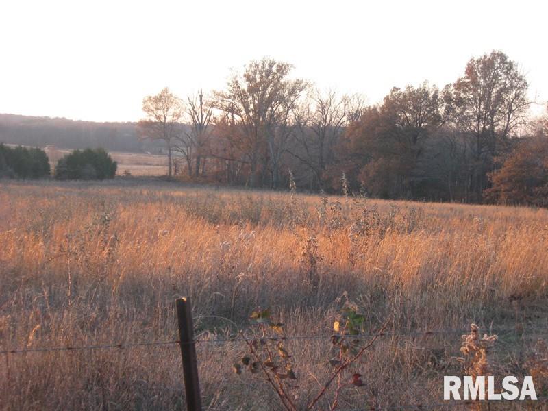 Tbd Drake Road Creal Springs, IL 62922 - Photo 4 of 7 Gallery Image 4