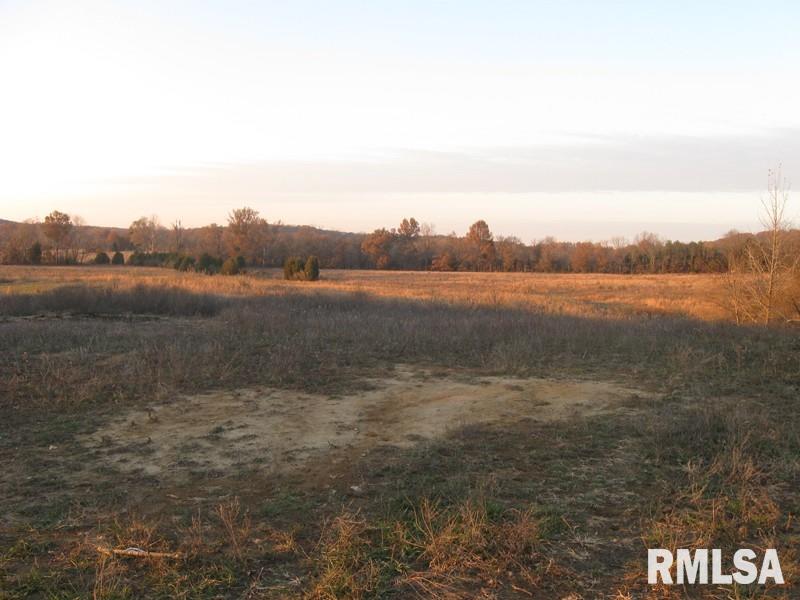 Tbd Drake Road Creal Springs, IL 62922 - Photo 5 of 7 Gallery Image 5