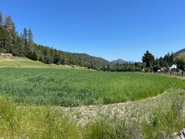 7840 Thompson Creek Road Williams, OR 97544 - Photo 4 of 18 Gallery Image 4