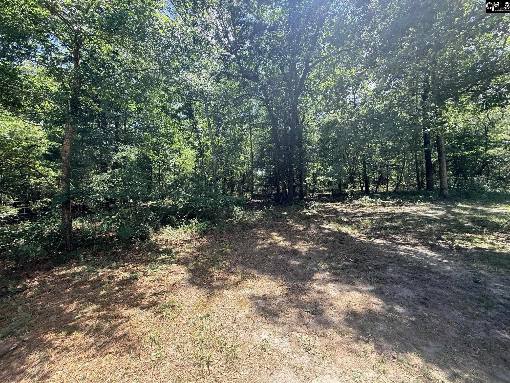 612 Edisto Lake Road Wagener, SC 29164 - Photo 42 of 48