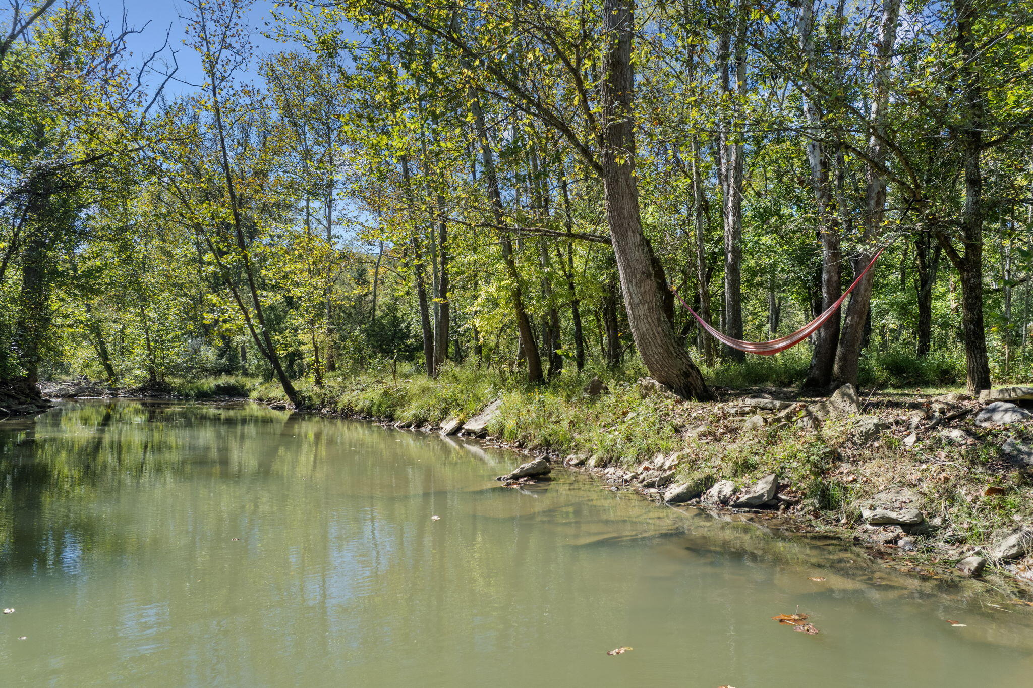 925 Lockmier Road Augusta, KY 41002 - Photo 12 of 52 Bracken Creek