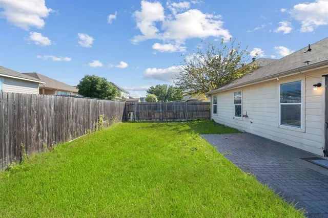 a view of a backyard with plants and a backyard