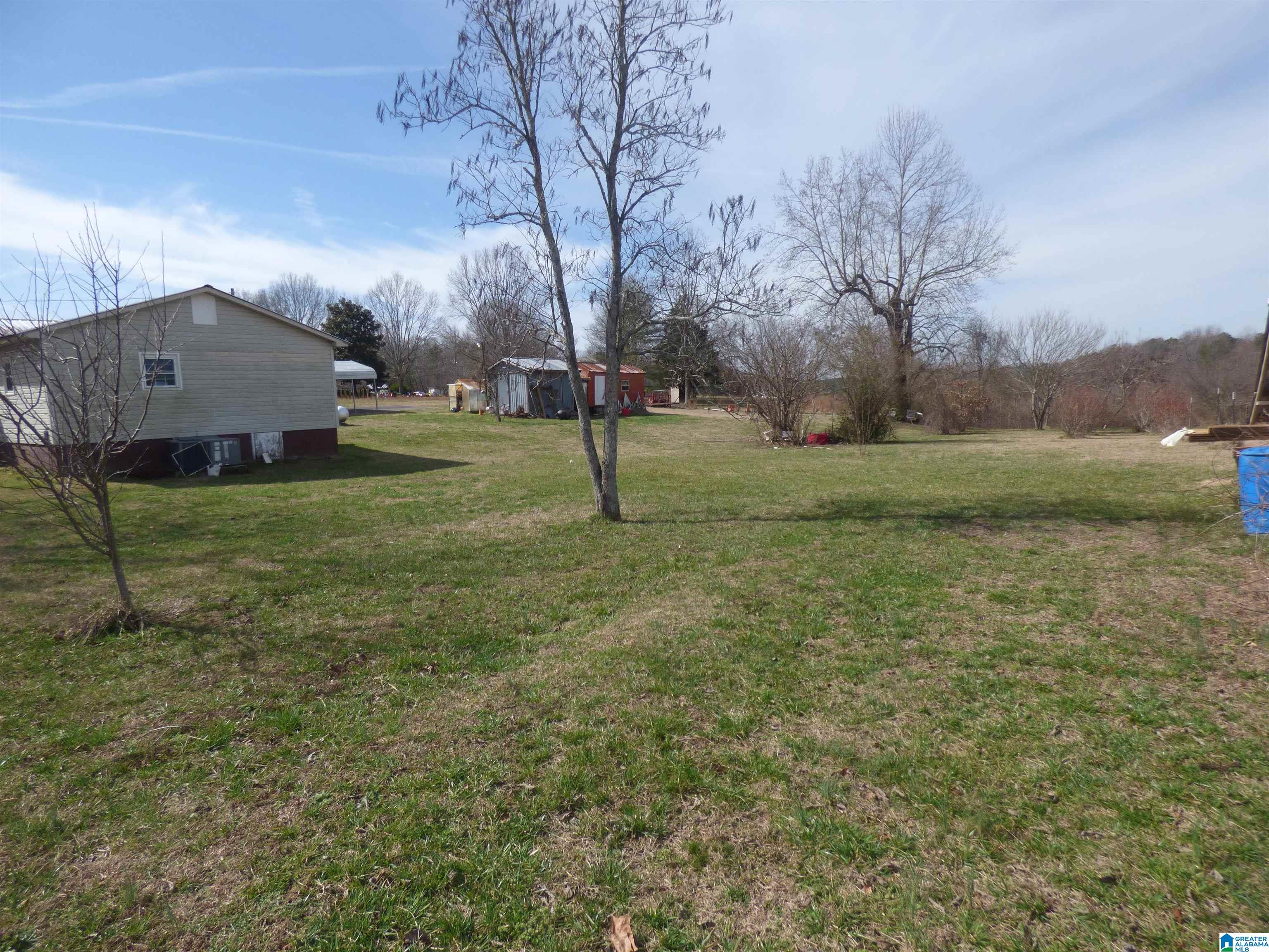 114 Haynes Road Altoona, AL 35952 - Photo 8 of 49