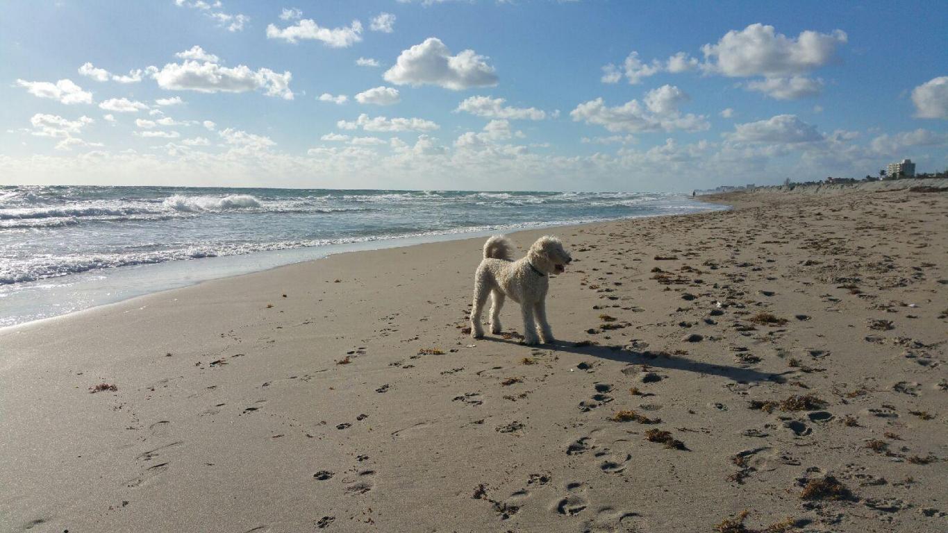 486 Francesca Ridge Road, Unit LOT 57 Boynton Beach, FL 33435 - Photo 4 of 7 CLOSE TO BEACH