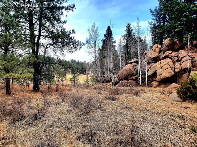 117 Apache Road Florissant, CO 80816 - Photo 7 of 15