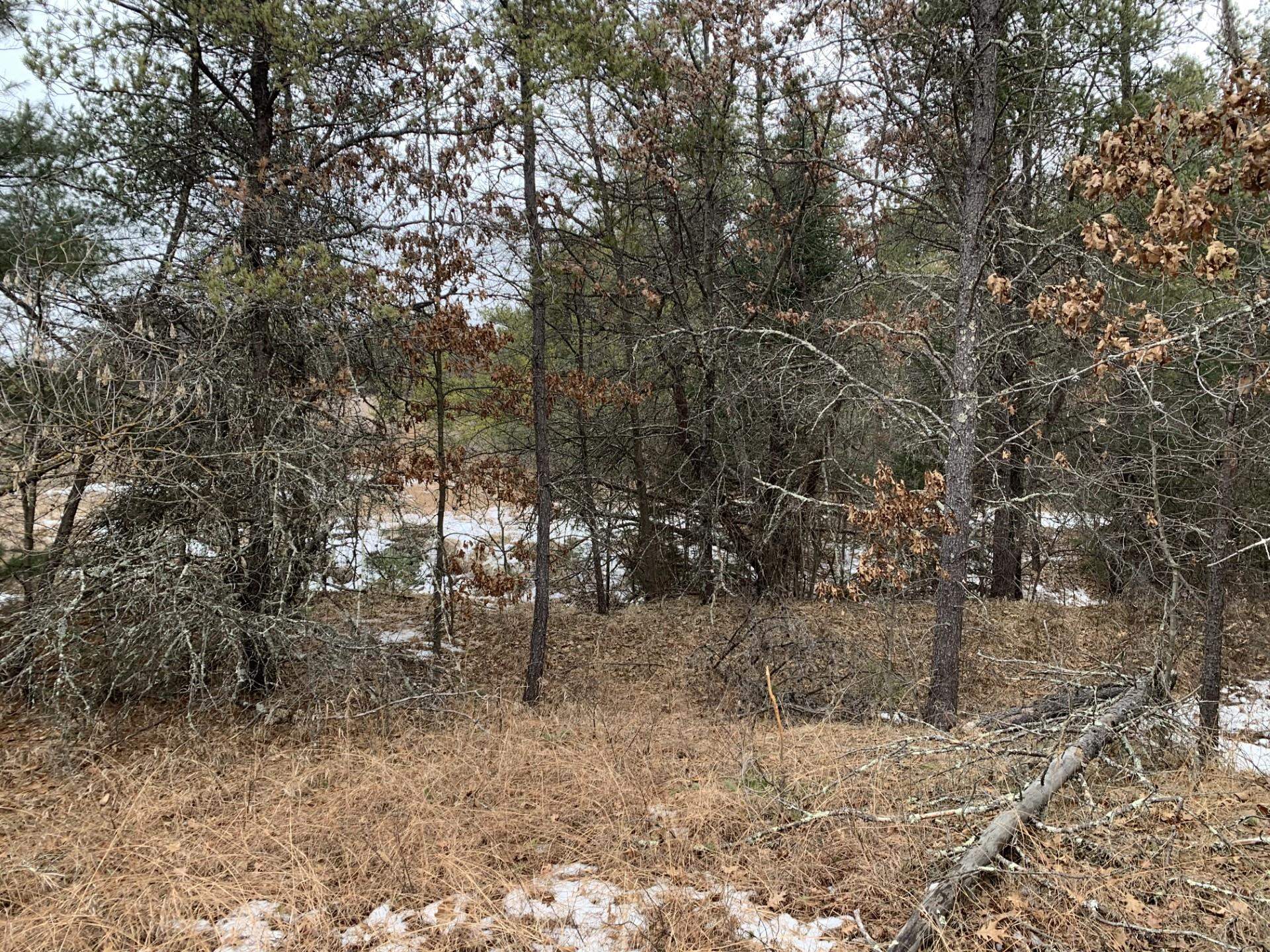 Airport Road Crivitz, WI 54114 - Photo 11 of 17