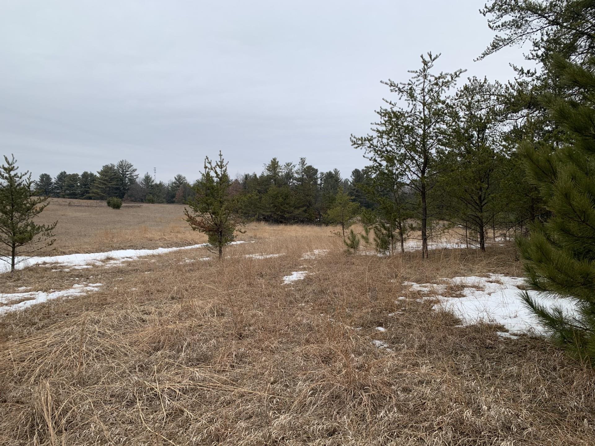 Airport Road Crivitz, WI 54114 - Photo 16 of 17