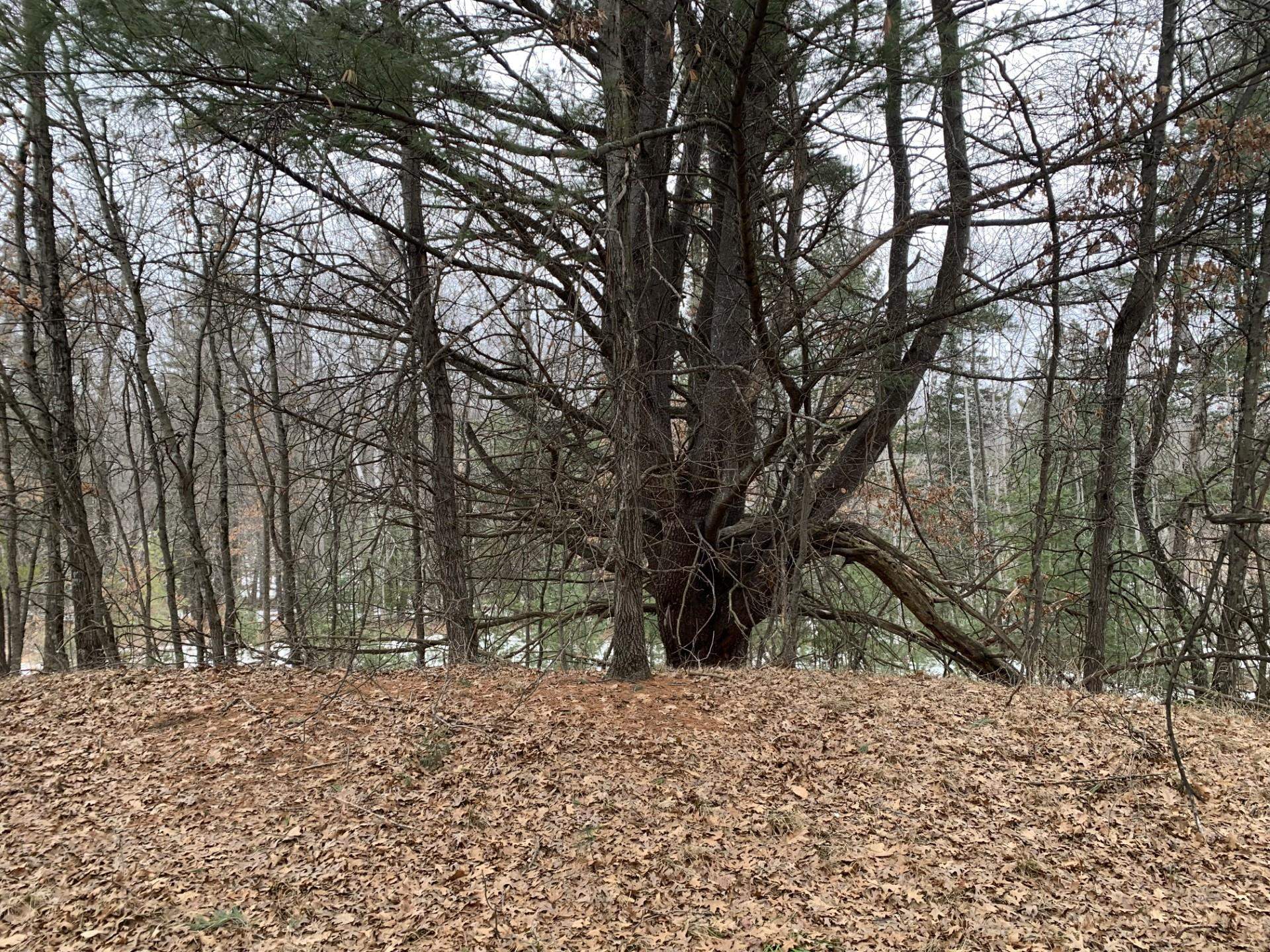 Airport Road Crivitz, WI 54114 - Photo 2 of 17