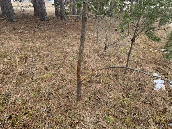 $104,900 | Airport Road, Crivitz, WI 54114