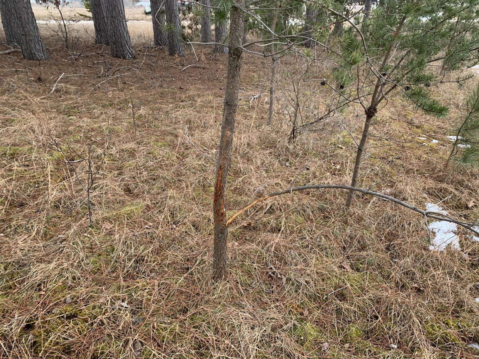 Airport Road Crivitz, WI 54114 - Photo 4 of 17