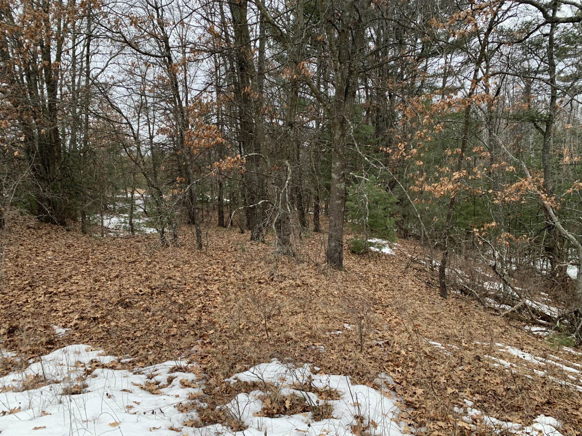 Airport Road Crivitz, WI 54114 - Photo 7 of 17