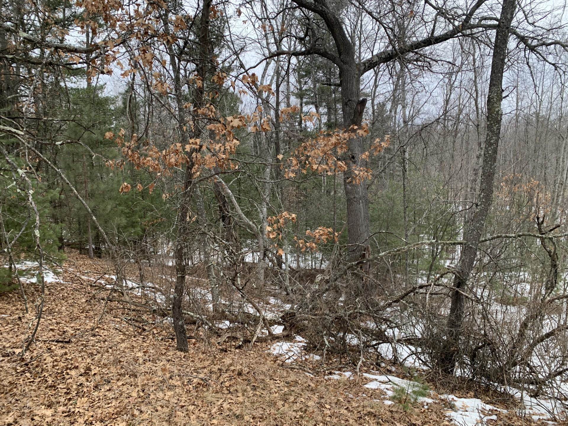 Airport Road Crivitz, WI 54114 - Photo 8 of 17