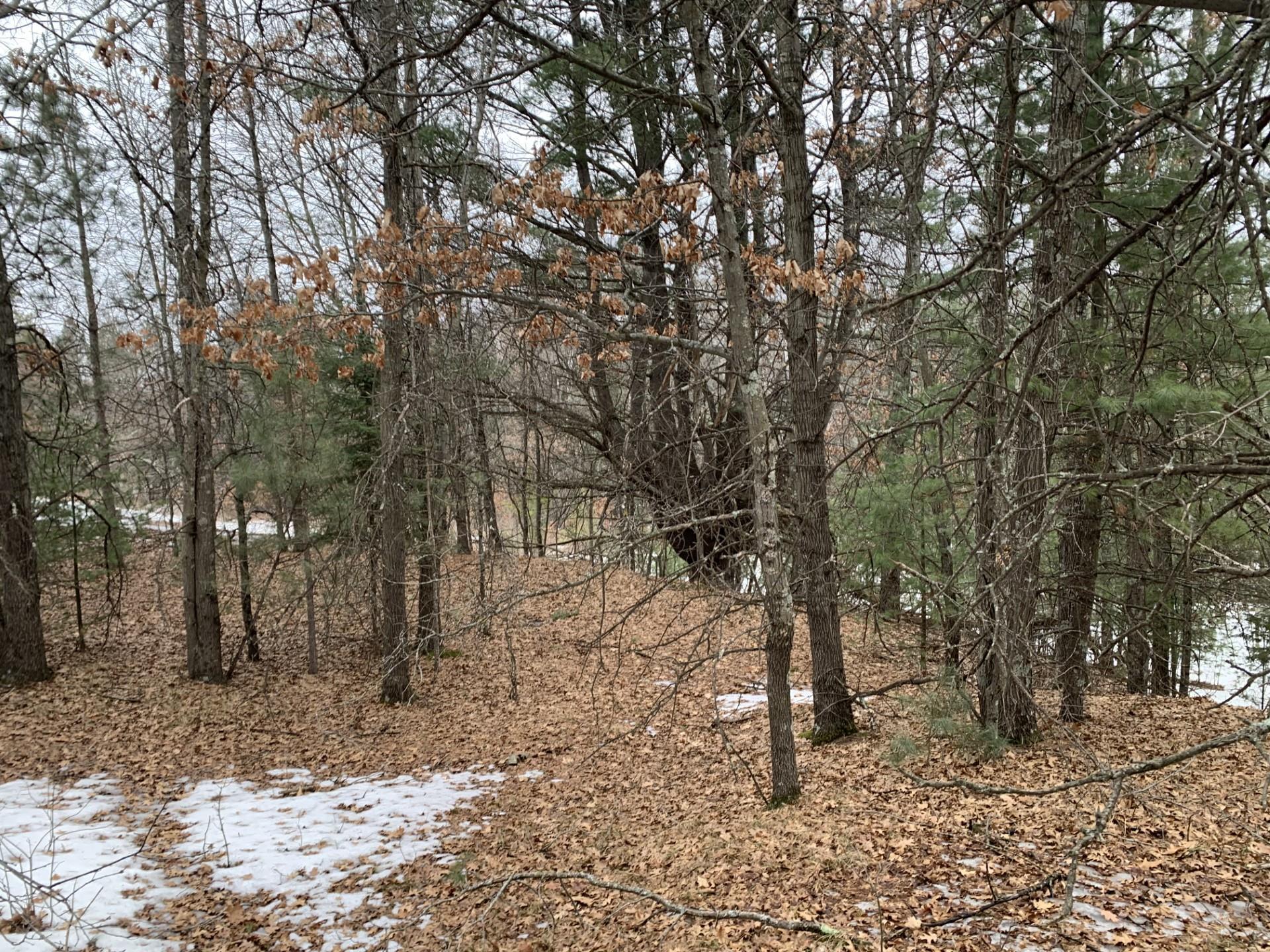 Airport Road Crivitz, WI 54114 - Photo 9 of 17