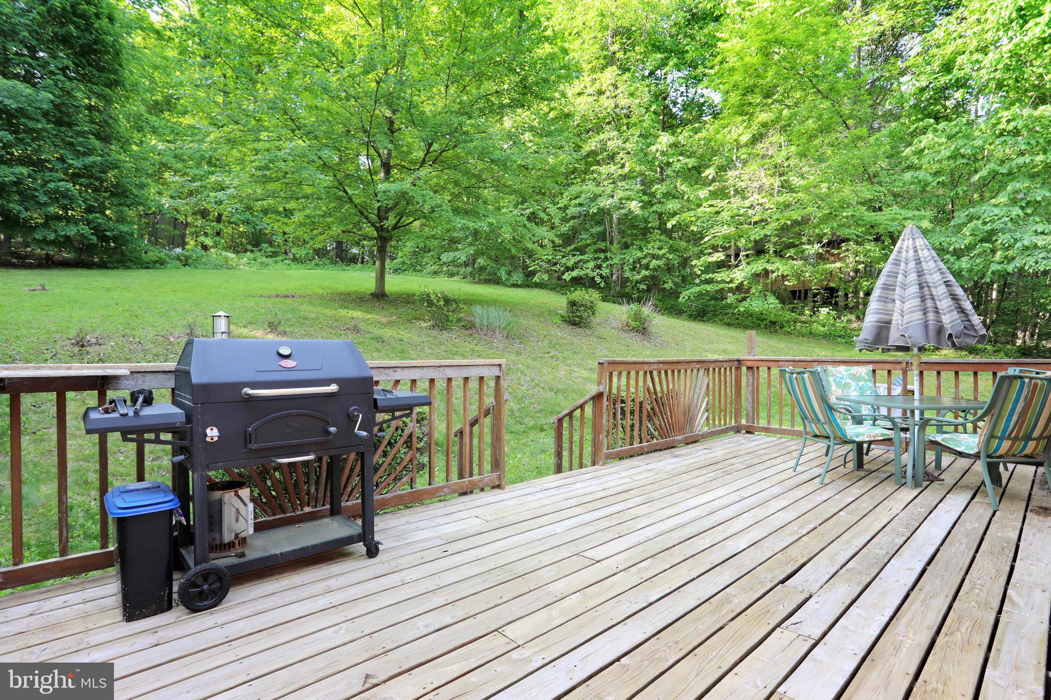 230 Parkside Road Linden, VA 22642 - Photo 31 of 37 Enjoy those Lazy Summer Days