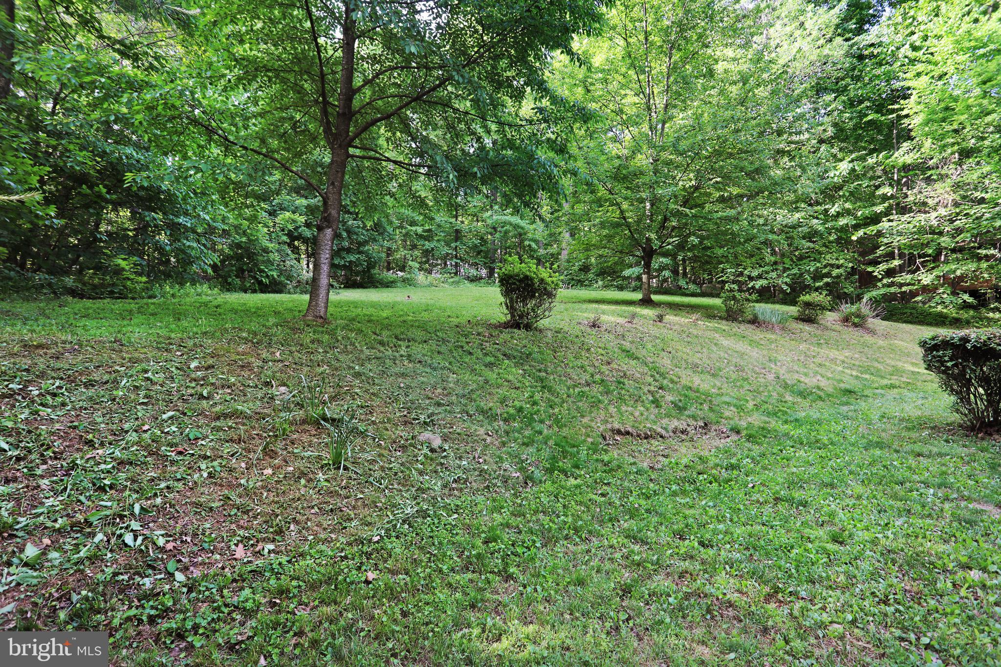 230 Parkside Road Linden, VA 22642 - Photo 36 of 37