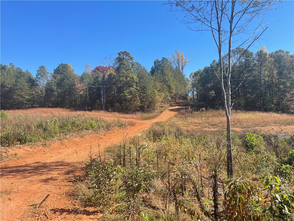 369 Springbrook Road Walhalla, SC 29691 - Photo 16 of 20 Looking back at the property