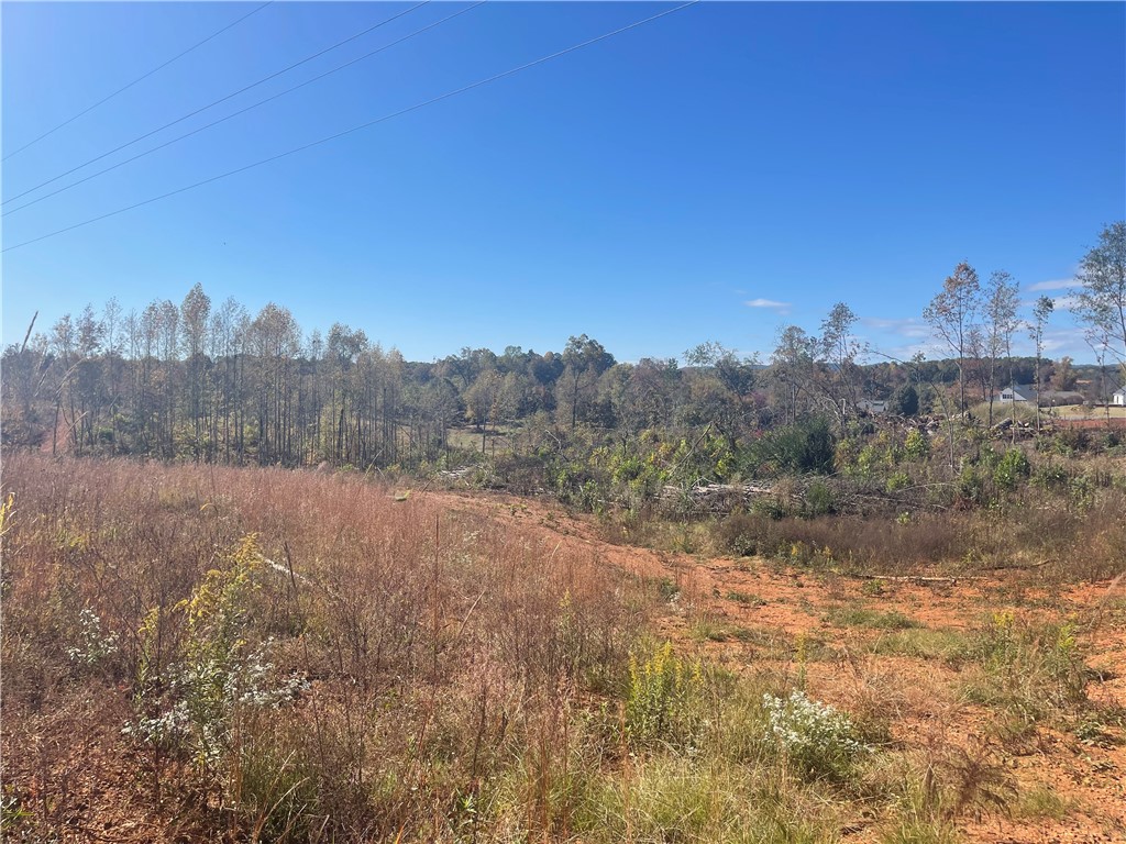 369 Springbrook Road Walhalla, SC 29691 - Photo 17 of 20 View at a building site