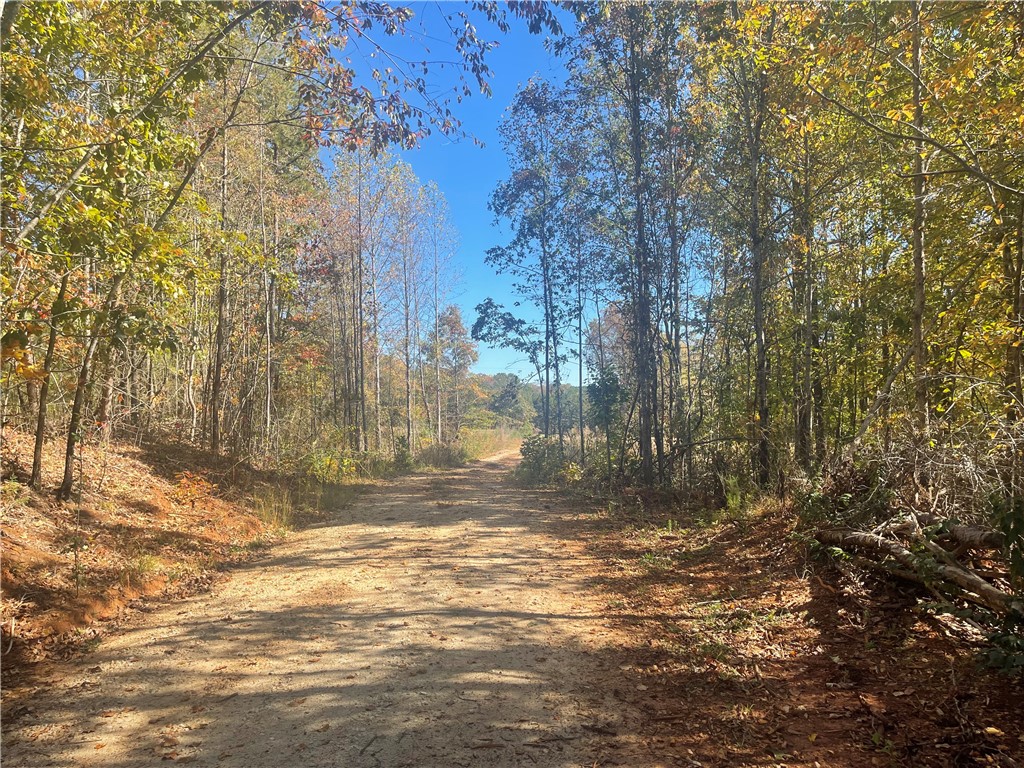 369 Springbrook Road Walhalla, SC 29691 - Photo 18 of 20 View towards the road