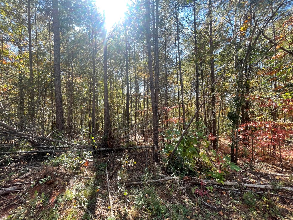 369 Springbrook Road Walhalla, SC 29691 - Photo 19 of 20 Some area of woods