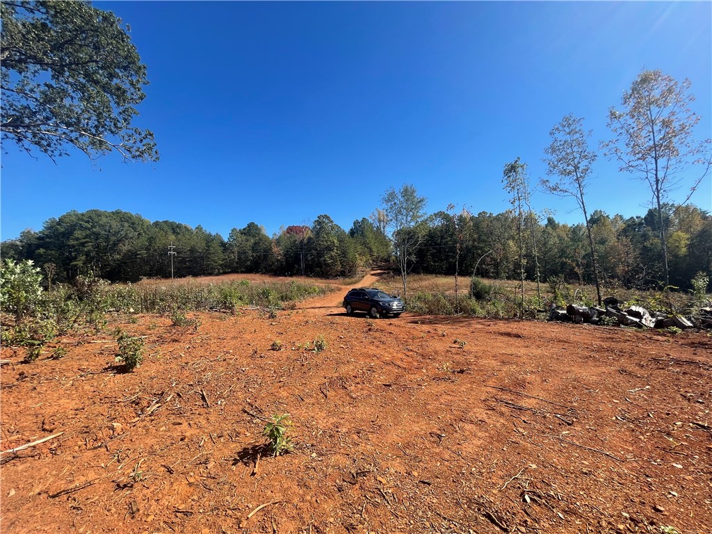 369 Springbrook Road Walhalla, SC 29691 - Photo 8 of 20 Great Topo