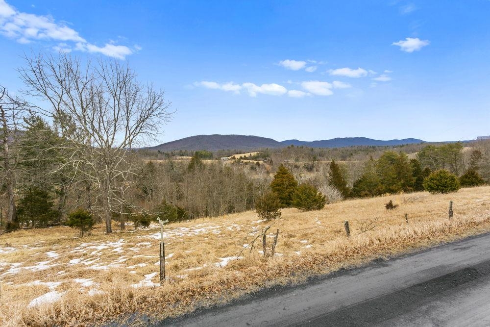 19962 Rainbow Ridge Road Bergton, VA 22811 - Photo 3 of 57 Road Front Views to NE