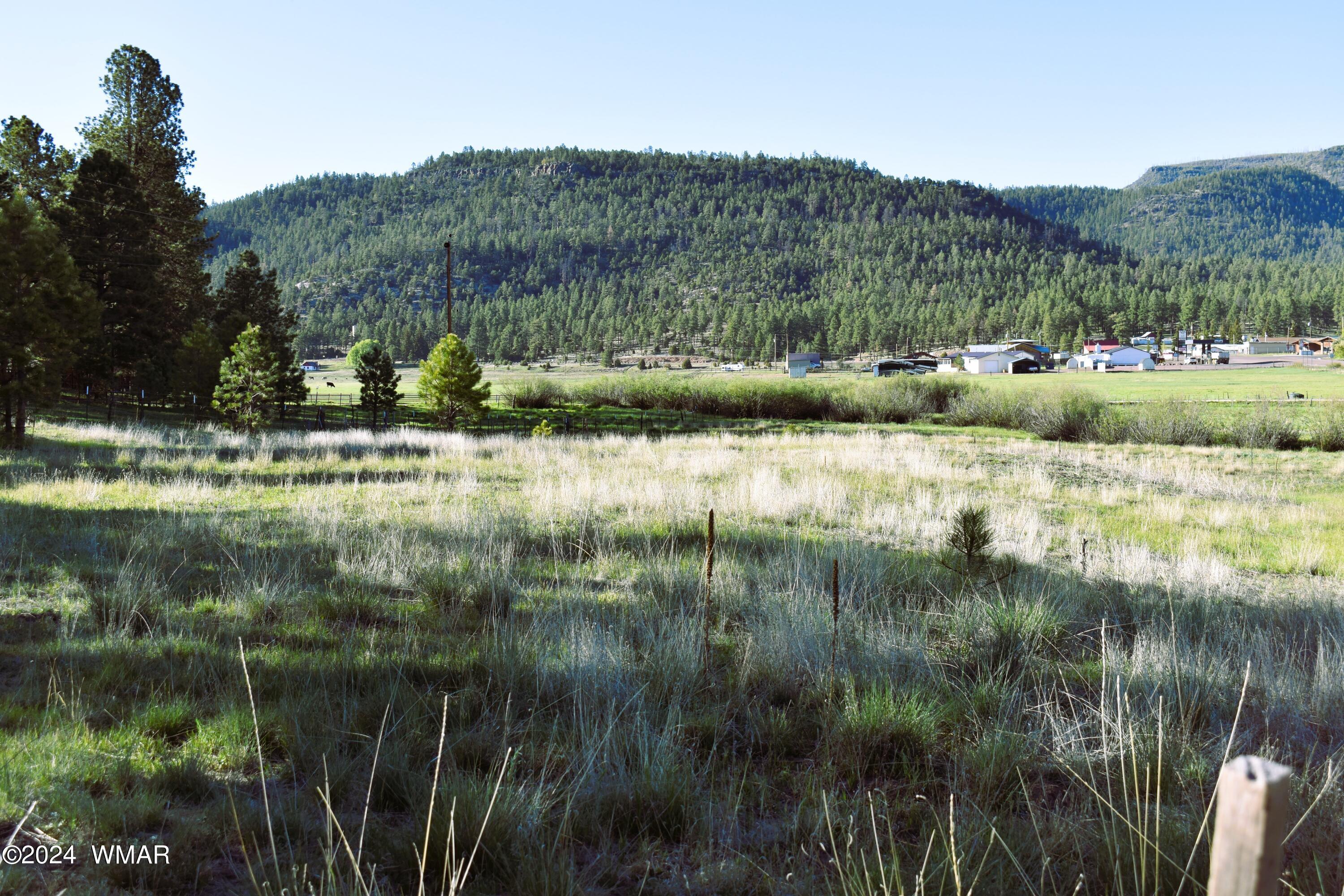 8 North 2062nd Alpine, AZ 85920 - Photo 4 of 6 DSC_0006