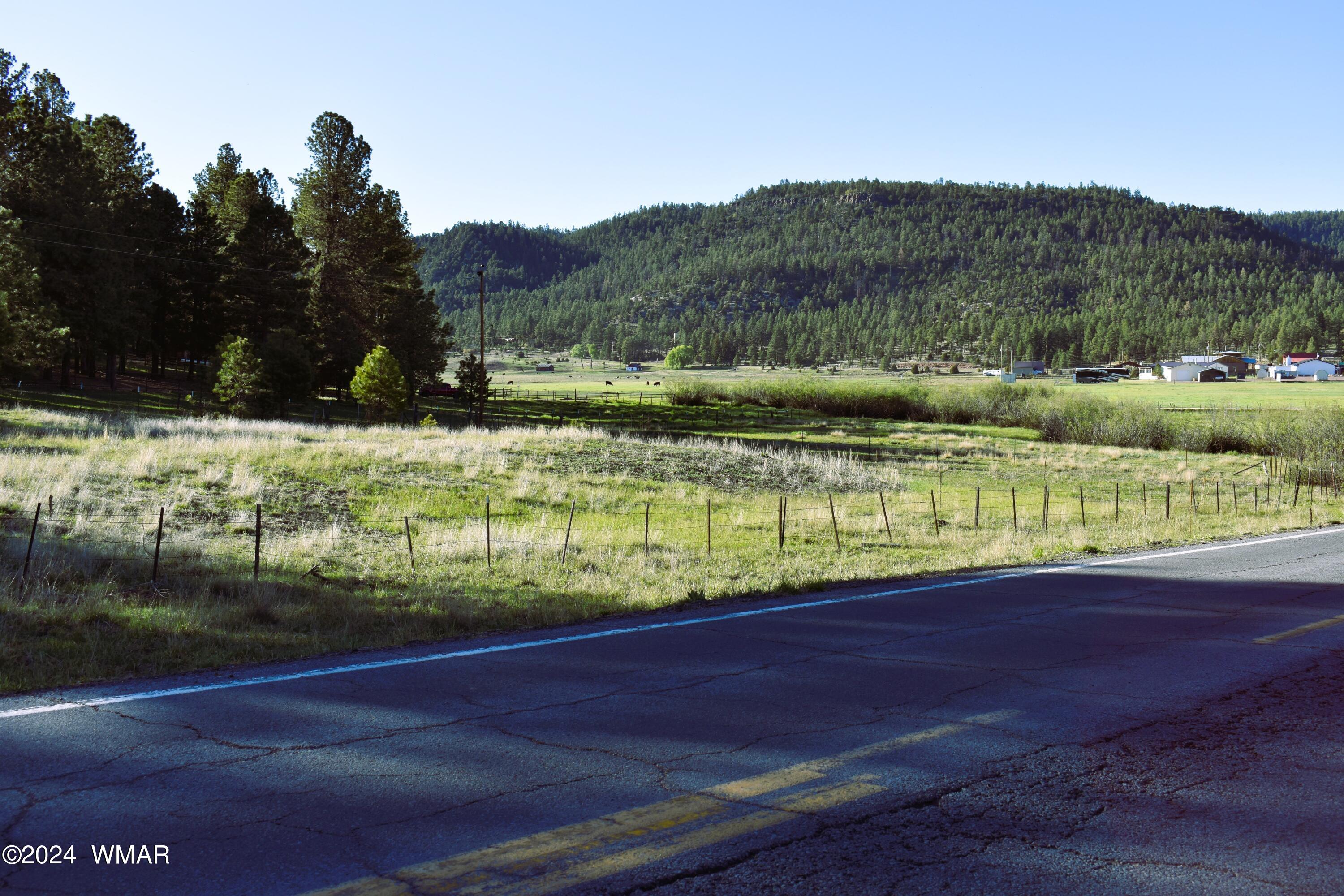 8 North 2062nd Alpine, AZ 85920 - Photo 5 of 6 DSC_0007