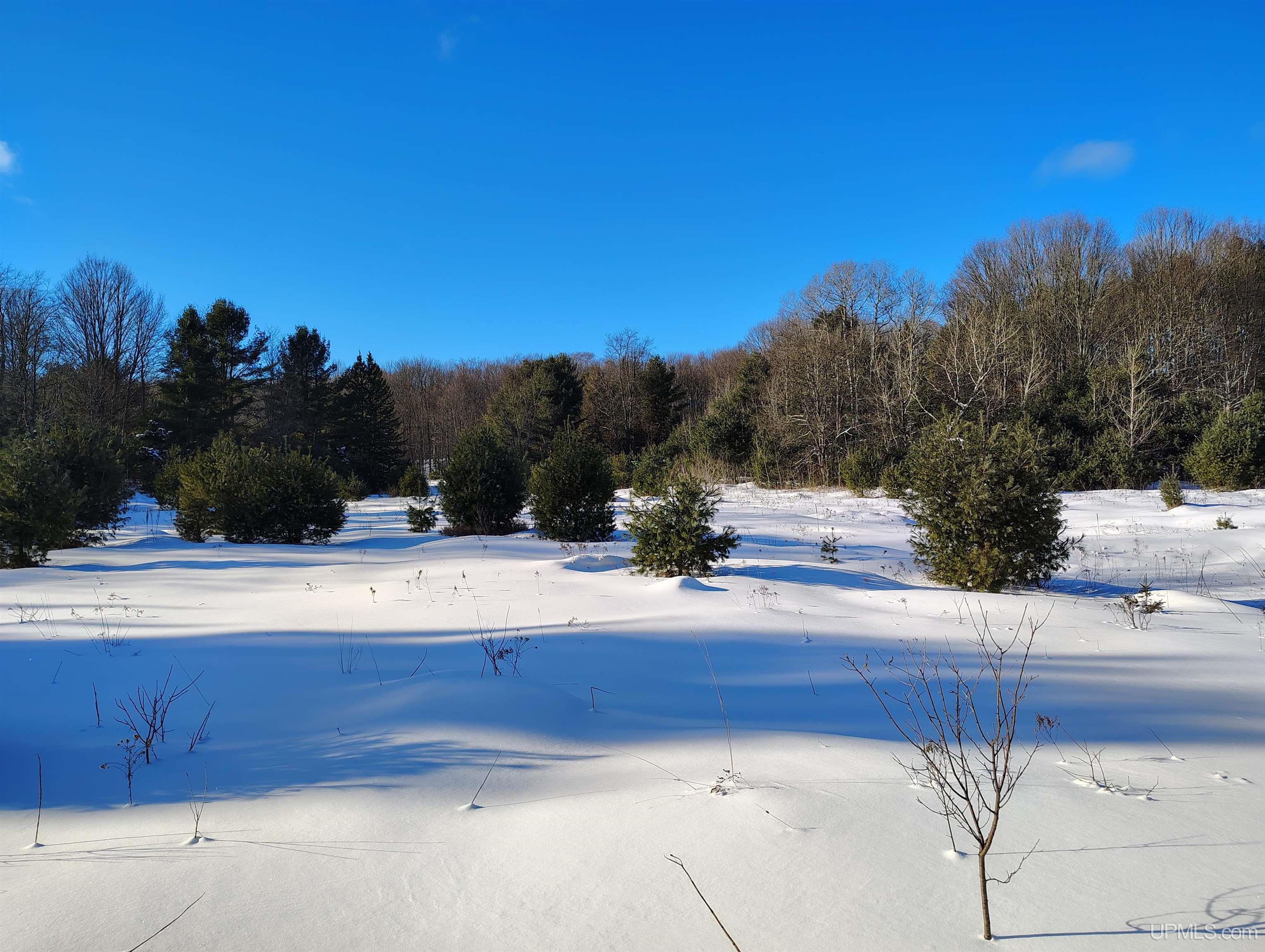 Tbd Off Dana Lake Road Wetmore, MI 49895 - Photo 11 of 54 Gallery Image 11