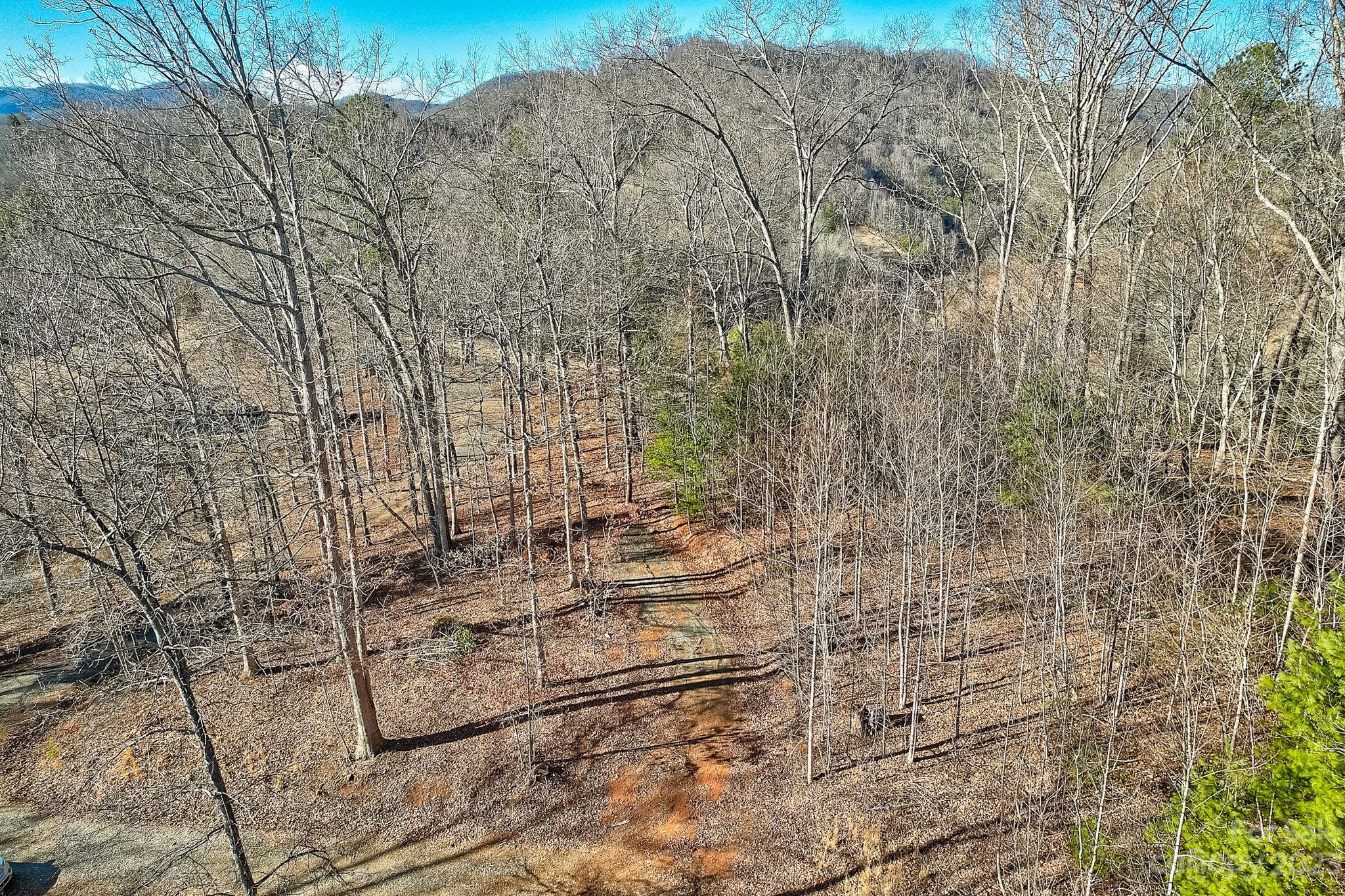 0 Boyd Road, Unit 7 Leicester, NC 28748 - Photo 12 of 15