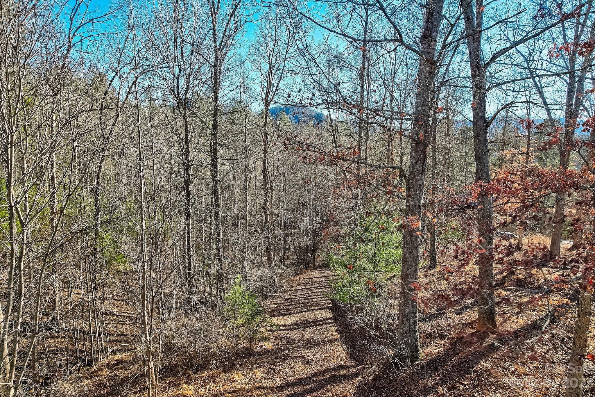 0 Boyd Road, Unit 7 Leicester, NC 28748 - Photo 13 of 15 a view of a yard with plants and trees