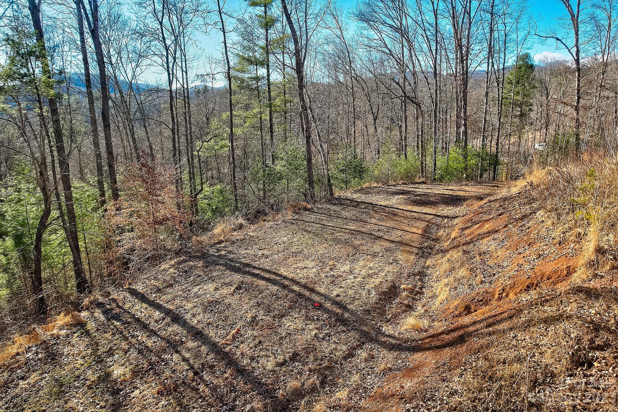 0 Boyd Road, Unit 7 Leicester, NC 28748 - Photo 14 of 15 a view of a yard with large trees