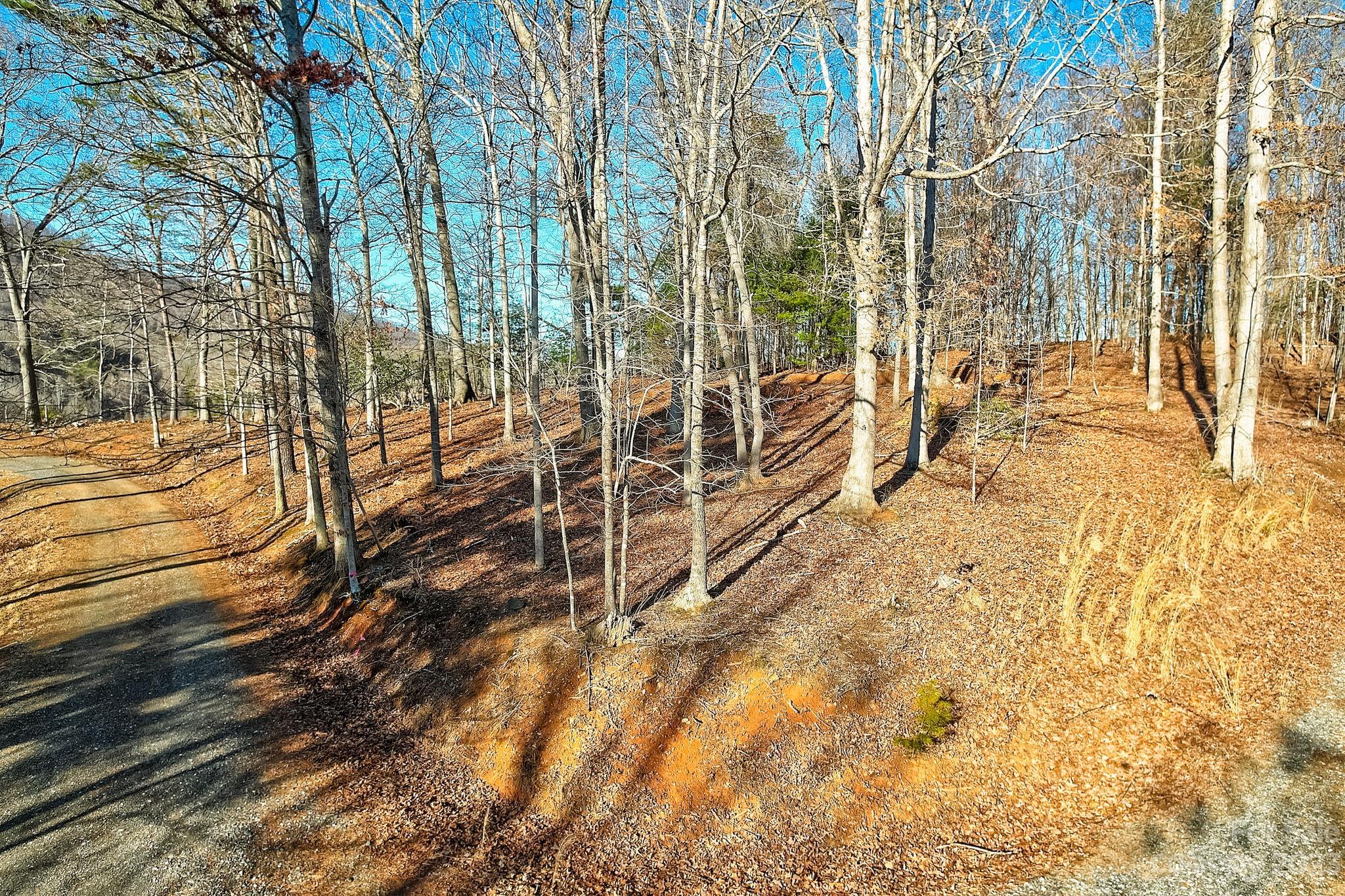 0 Boyd Road, Unit 7 Leicester, NC 28748 - Photo 3 of 15