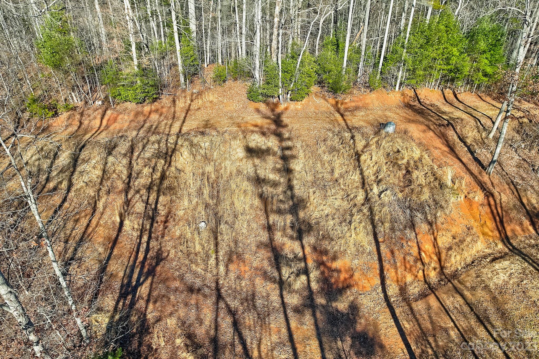 0 Boyd Road, Unit 7 Leicester, NC 28748 - Photo 5 of 15 a backyard of a house with large trees