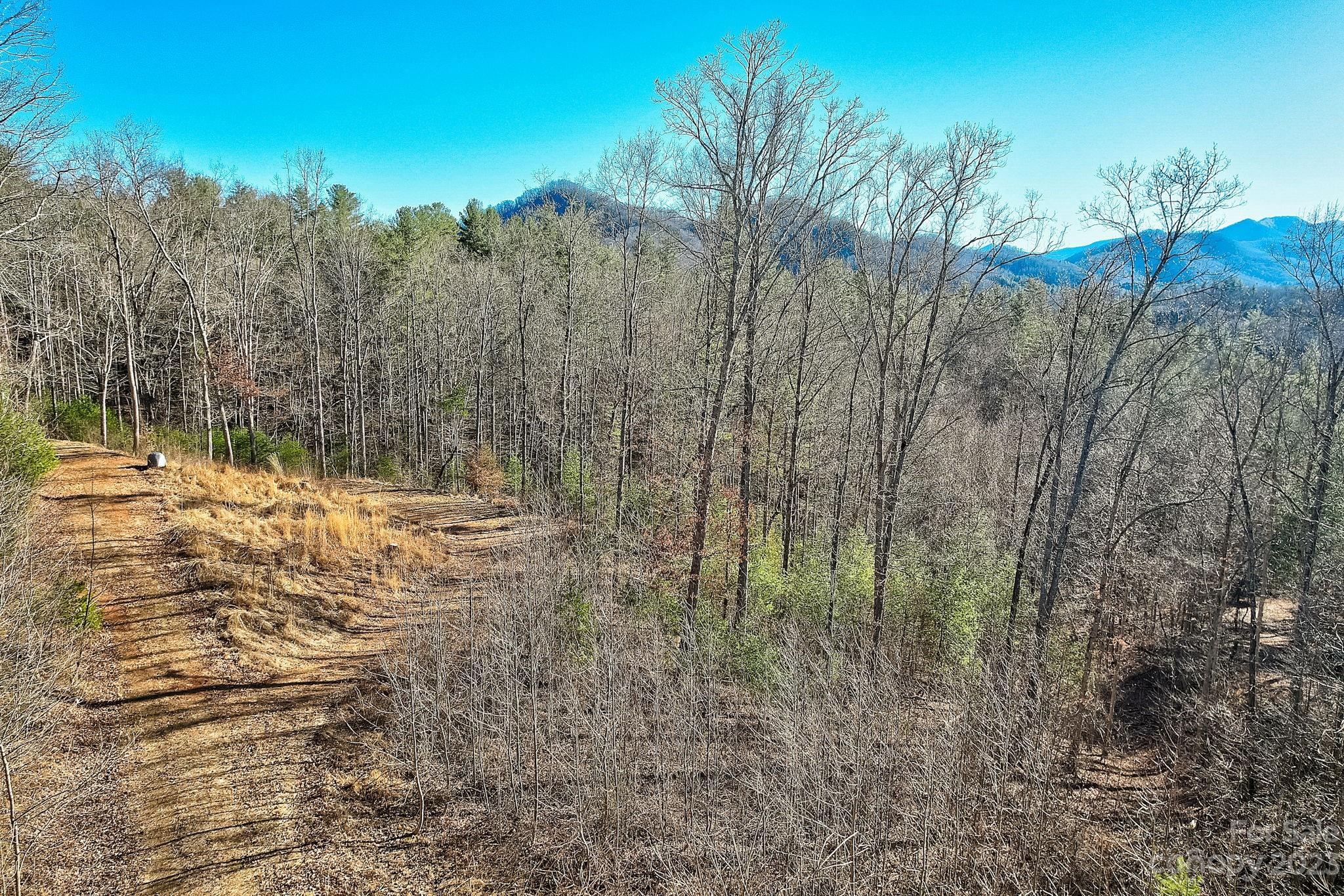 0 Boyd Road, Unit 7 Leicester, NC 28748 - Photo 6 of 15 a view of large yard