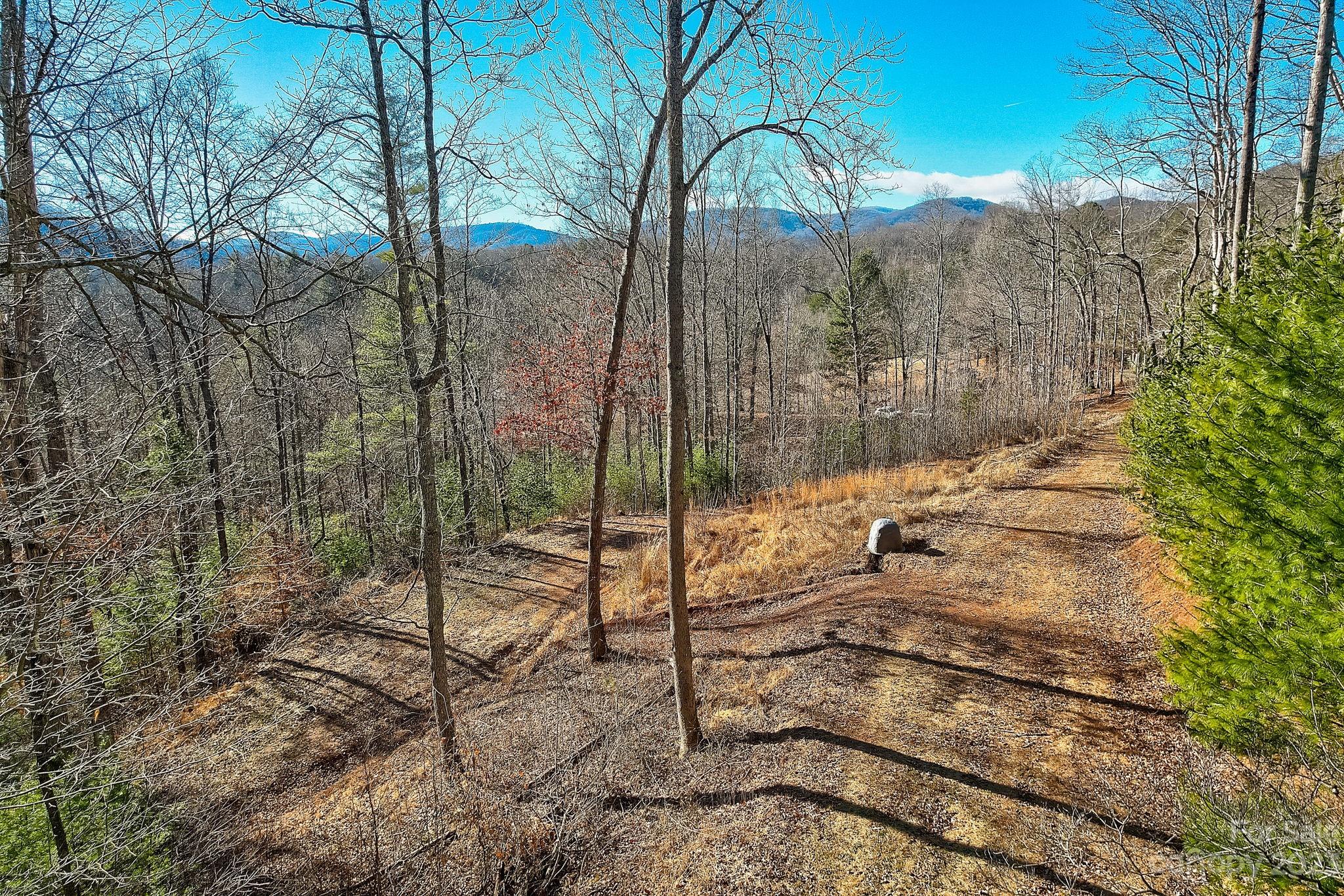 0 Boyd Road, Unit 7 Leicester, NC 28748 - Photo 8 of 15 a view of a forest