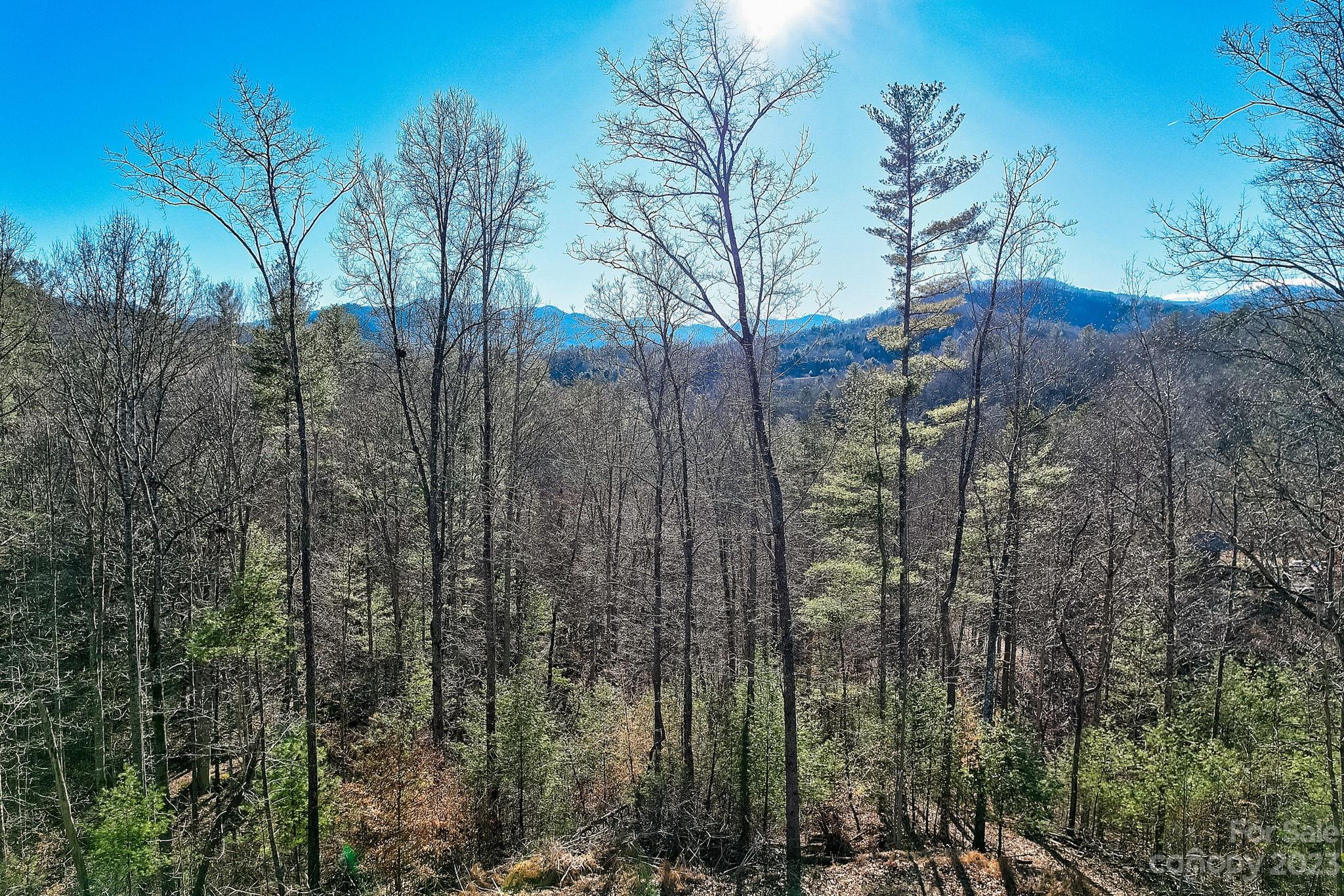 0 Boyd Road, Unit 7 Leicester, NC 28748 - Photo 10 of 15 a view of a forest filled with trees