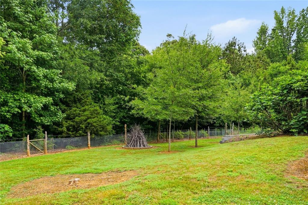 181 Cedar Creek Road Cartersville, GA 30121 - Photo 28 of 30