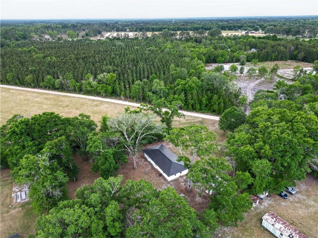 569 Revis Blocker Road Glennville, GA 30427 - Photo 40 of 43 Photo 40