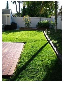 1664 Buttercup Road Encinitas, CA 92024 - Photo 21 of 25 Gallery Image 21