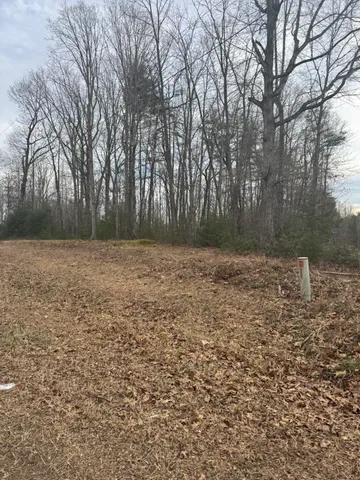 a view of a green field with trees