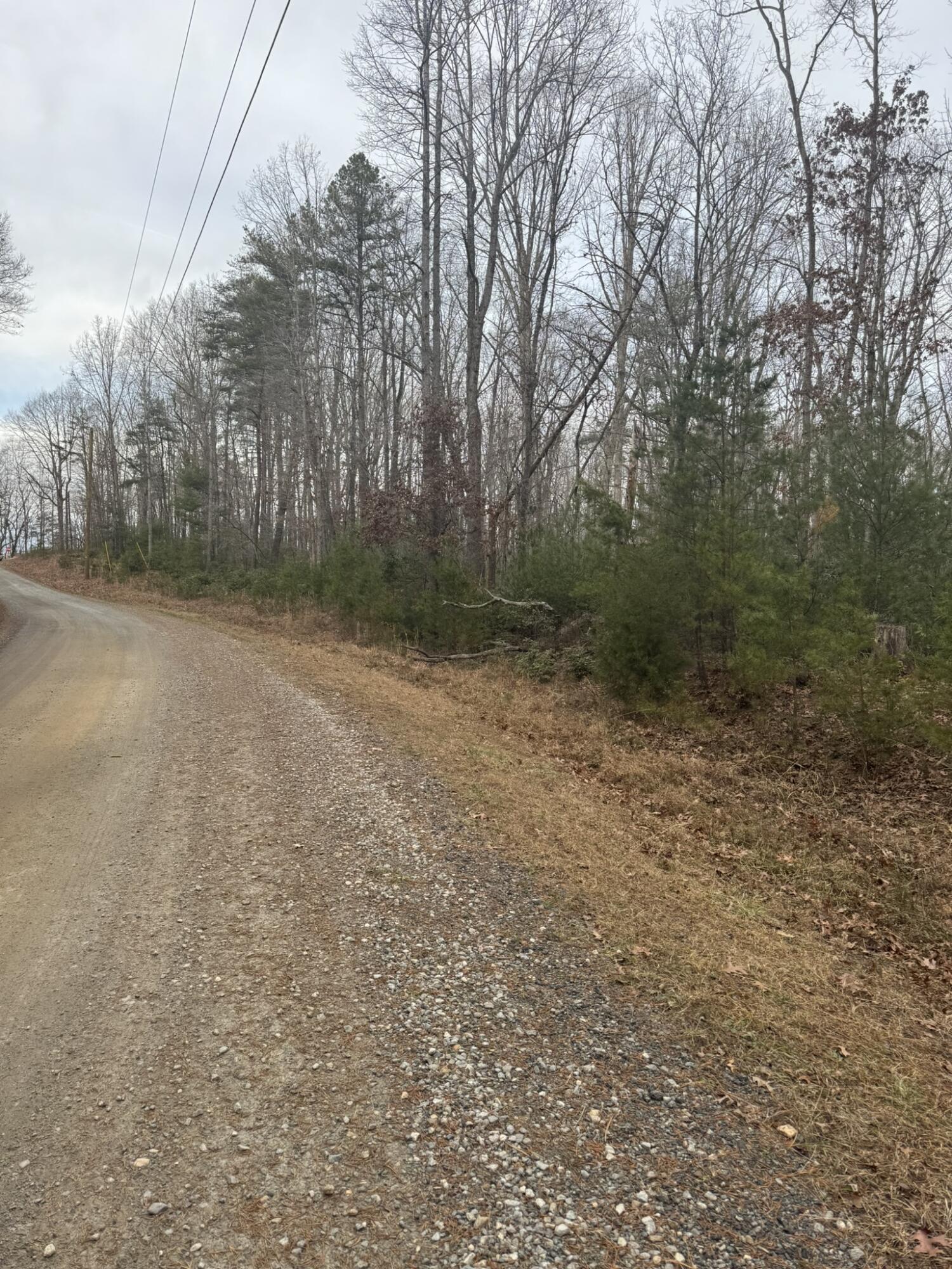 0 Henry Road Henry, VA 24102 - Photo 8 of 9 a view of a yard with trees