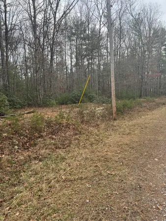 a backyard of a house with lots of trees