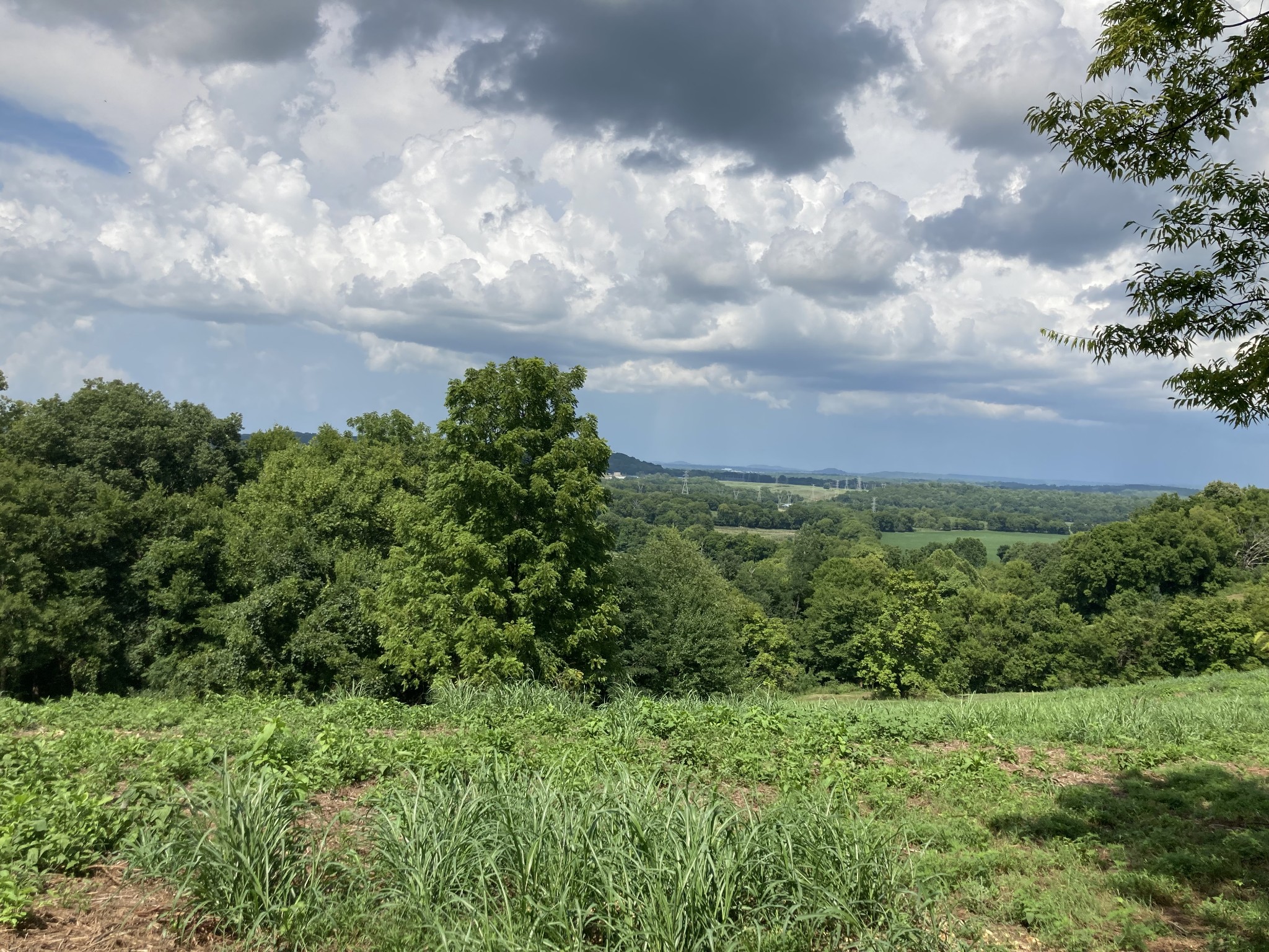 2 Joy Road Mount Pleasant, TN 38474 - Photo 1 of 4 Gallery Image 1