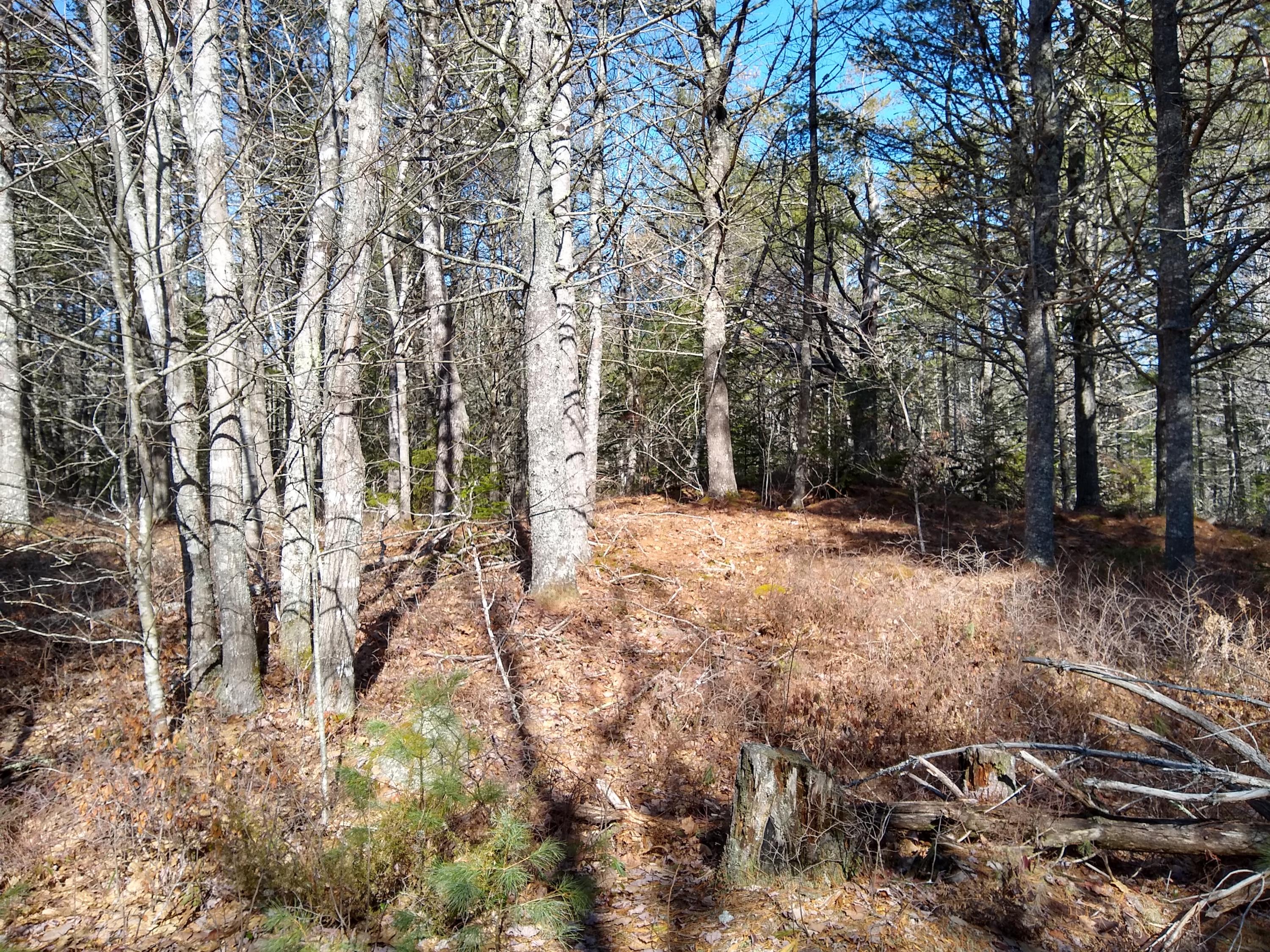 11 Porcupine Road Sullivan, ME 04664 - Photo 6 of 8 IMG_20210330_101230147_HDR