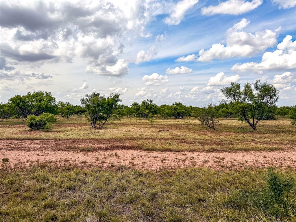 235 227 Haskell Tx 79521 Haskell, TX 79521 - Photo 10 of 40 a view of dirt field with trees