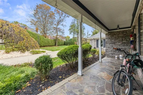 a view of a backyard