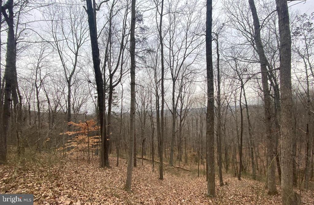 0 Turkey Ridge Road Castleton, VA 22716 - Photo 3 of 13 Gallery Image 3
